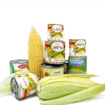 Canned sweet corn with high quality